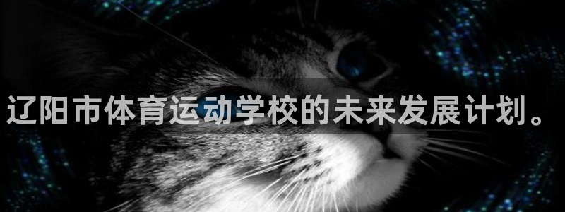 凯发官方集团官网：辽阳市体育运动学校的未来发展计划。