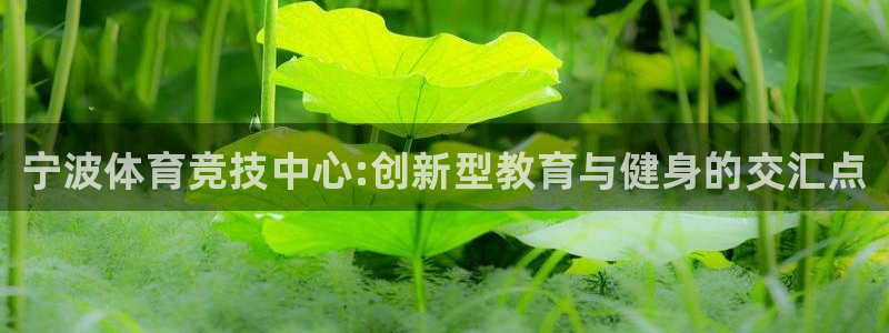 凯发官网下载招商电话是多少：宁波体育竞技中心:创新型