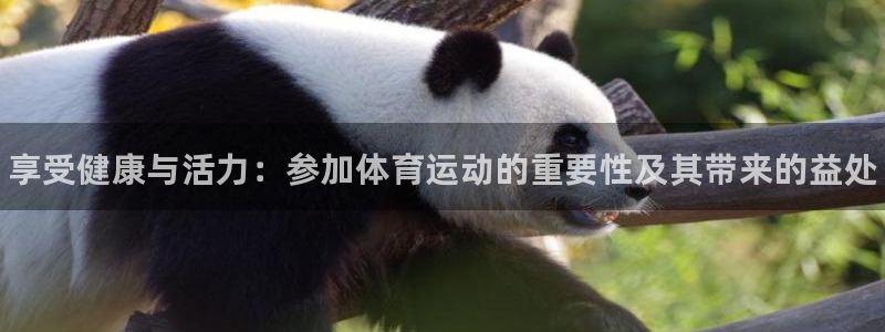 凯发官网下载招商电话号码查询：享受健康与活力：参加体