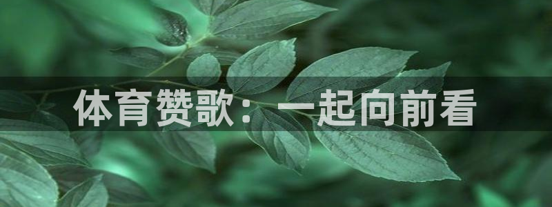 凯发官网下载平台：体育赞歌：一起向前看