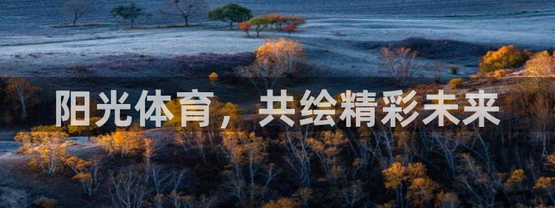 凯发官方正版app娱乐40996：阳光体育，共绘精彩