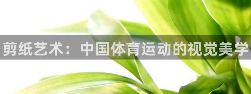 海南凯发官网下载发展怎么样：剪纸艺术：中国体育运动的