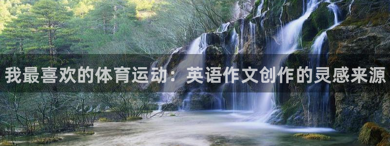 凯发官方正版app集团logo：我最喜欢的体育运动：