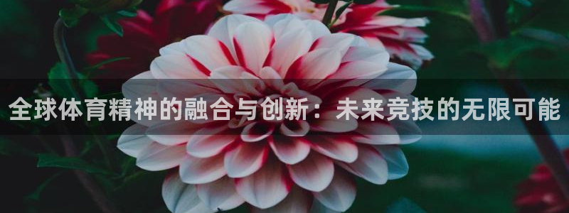 凯发官网下载开户：全球体育精神的融合与创新：未来竞技
