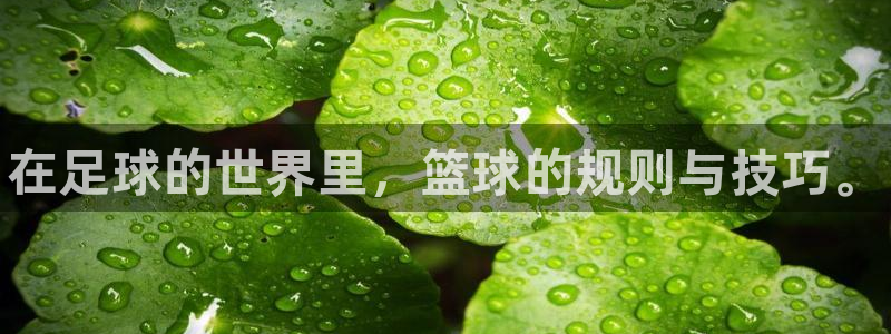 凯发官方正版app官方：在足球的世界里，篮球的规则与
