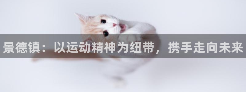 凯发官网下载平台注册要钱吗安全吗：景德镇：以运动精神