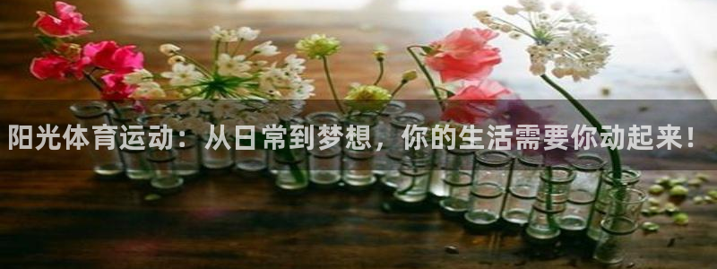 凯发官方集团官网：阳光体育运动：从日常到梦想，你的生