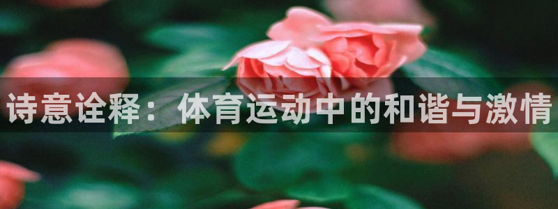 凯发官网下载招商电话号码是多少号：诗意诠释：体育运动