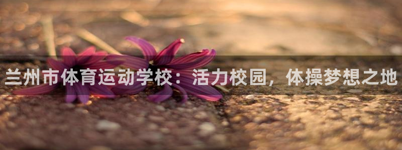凯发官网下载开户：兰州市体育运动学校：活力校园，体操
