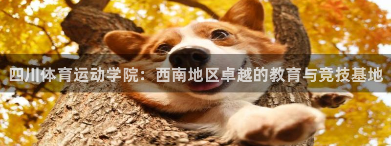 凯发官网下载平台APP：四川体育运动学院：西南地区卓