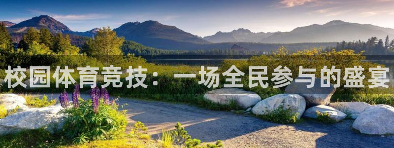注册凯发官方正版app：校园体育竞技：一场全民参与的