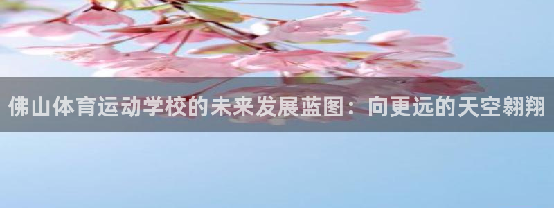 凯发官网下载是干嘛的公司：佛山体育运动学校的未来发展