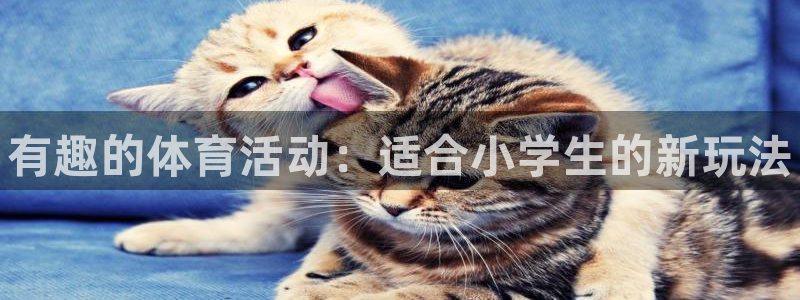 凯发官网下载招商电话是多少号码：有趣的体育活动：适合