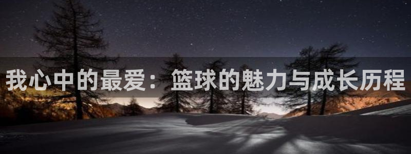 凯发官网下载平台是正规平台吗知乎：我心中的最爱：篮球的魅力与