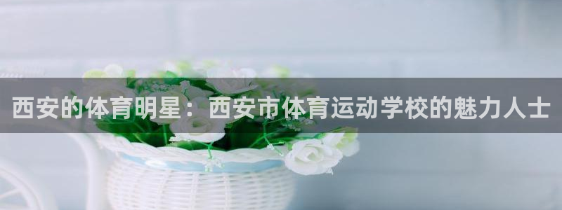 凯发官方正版app集团E.ON：西安的体育明星：西安市体育运