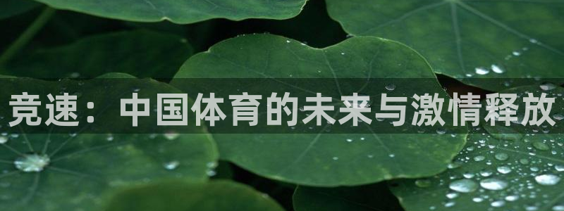 海南凯发官网下载发展怎么样：竞速：中国体育的未来与激情释放