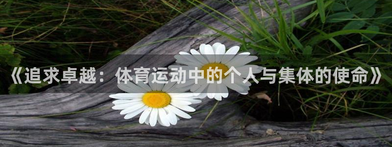 凯发官方正版app五金厂：《追求卓越：体育运动中的个人与集体