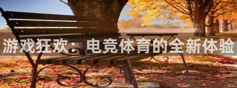 凯发官方正版app集团：游戏狂欢：电竞体育的全新体验